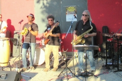 Blues-Blaster-Seven-2018-5